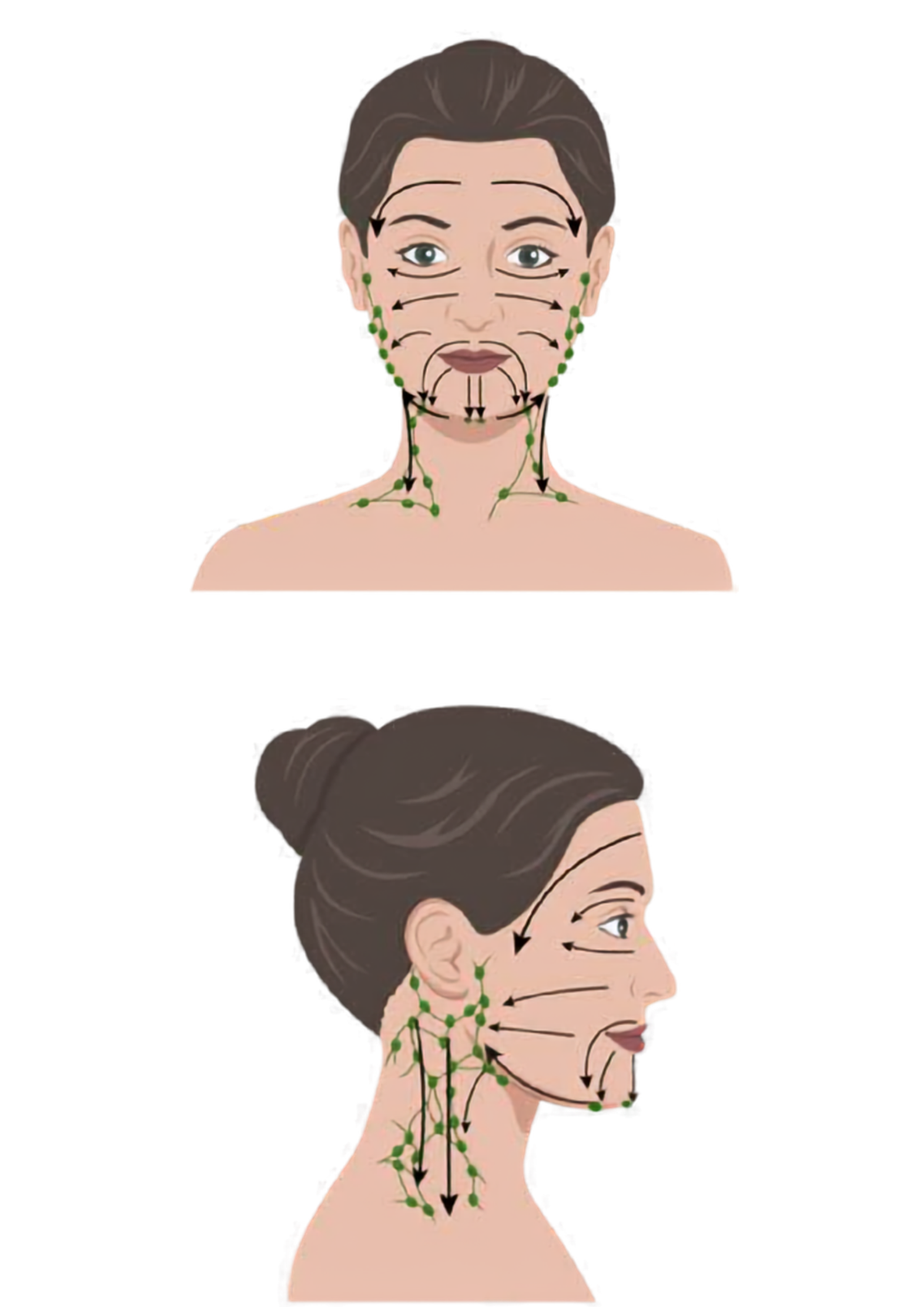 Diagram showing Gua Sha Brush stroke directions on face and neck